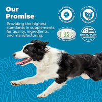 Vetnique Glandex Daily Probiotics for Dogs with Prebiotics to Support Gut Health with Fiber and Digestive Enzymes, Probiotic Chews or Powders (120ct Chews, Bacon Chews)