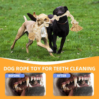 Bmag Dog Rope Toys for Aggressive Chewers - Beige - image 4