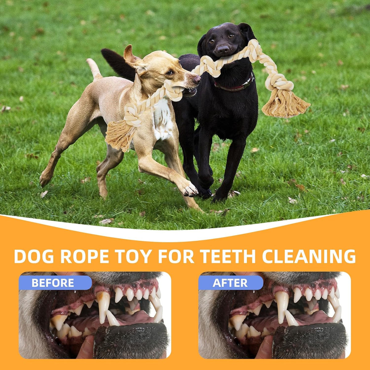 Bmag Dog Rope Toys for Aggressive Chewers - Beige - image 4