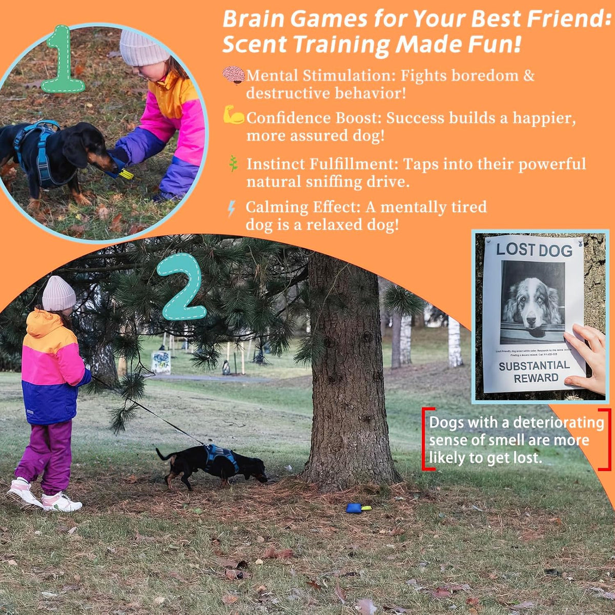 Dog Scent Training kit, Brain Games, Hide and Seek Toys - Dark-Blue - image 3
