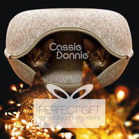 Premium Cat Bed caveTunnel Hiding Places for Indoor Cats(Large) Houses & Condos. Washable100% Nontoxic Eco-Friendly. Spaciousfor 2 Cats