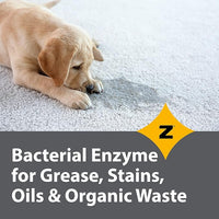 Pro-Grade Multi-Purpose Probiotic Enzyme Cleaner - Powerful Cleaning & Odor Eliminating Formula For Professional & Home Surfaces - 1 Gallon - Fragrance Free
