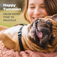 Vetnique Glandex Daily Probiotics for Dogs with Prebiotics to Support Gut Health with Fiber and Digestive Enzymes, Probiotic Chews or Powders (30ct Chews, Bacon Chews)