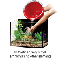 16 Ounces Aquarium Water Conditioner - BIG FRENCHIES