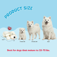 Heartbeat Dog Toy For Puppies, Real Feel Heartbeat, Calming Sleep Aid And Crate Training Comfort Toy With Heat Pack, Cre