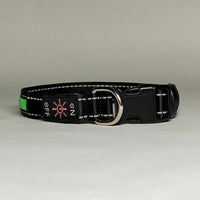 LED Dog Collar: Blue