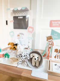 Vet Clinic Dramatic Play