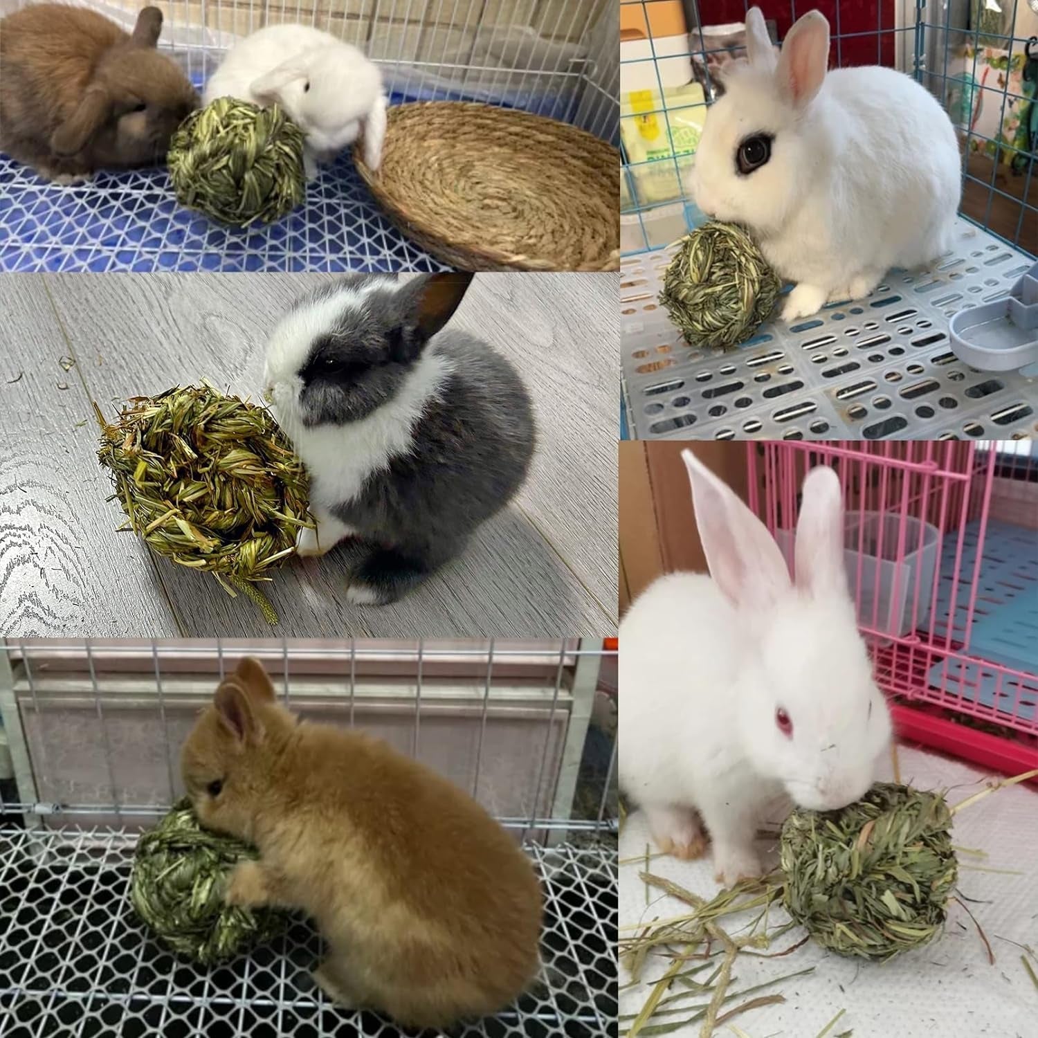 Get Your Furry Friends Hopping with Our Timothy Grass Chew Ball – Perfect Playtime for Bunnies, Hamsters, and Guinea Pigs! 🐰🐹🥳 - BIG FRENCHIES