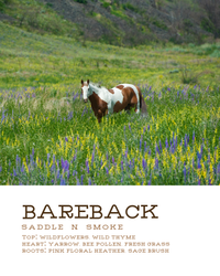 Bareback - BIG FRENCHIES