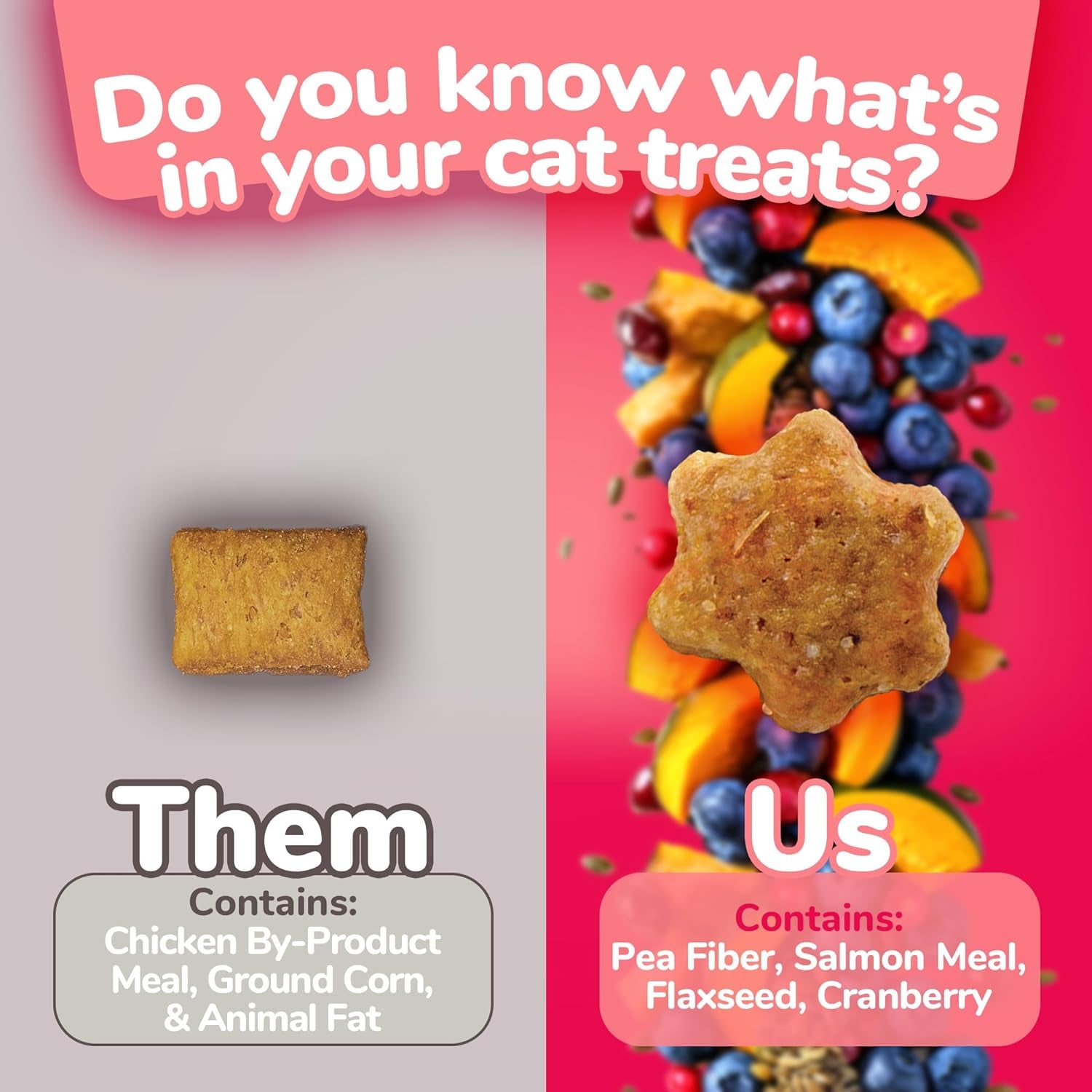 Cat Crunchy Treats made with salmon - BIG FRENCHIES
