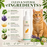 Cat Grooming Kit with Waterless Shampoo, Itch Spray & Scratcher