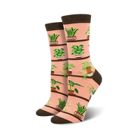 Houseplants Bamboo