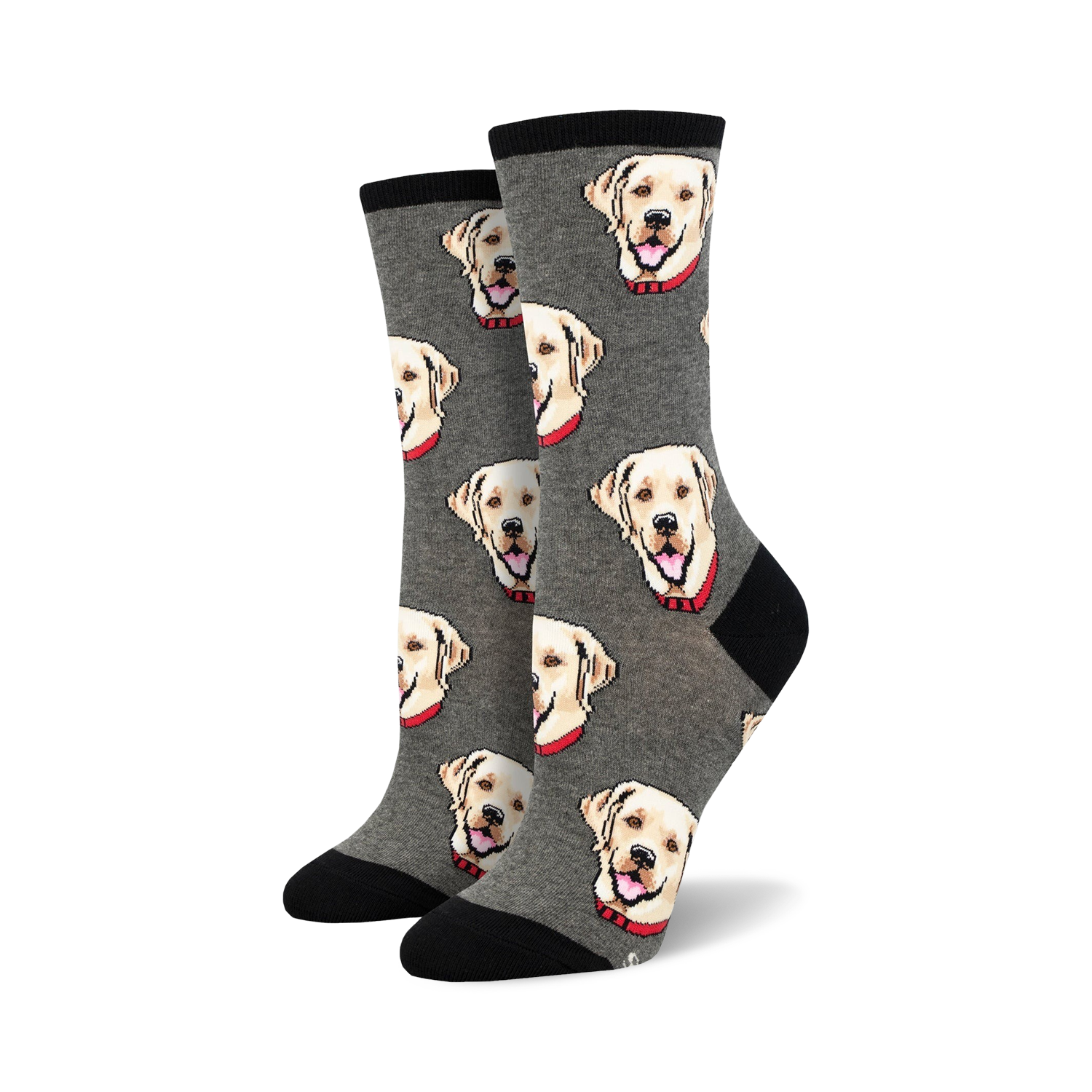 Labrador