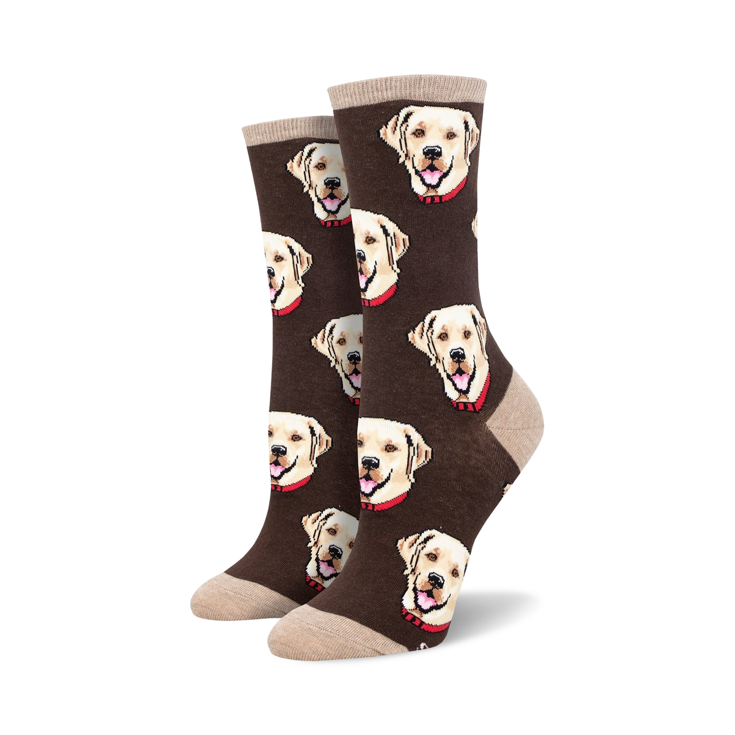 Labrador