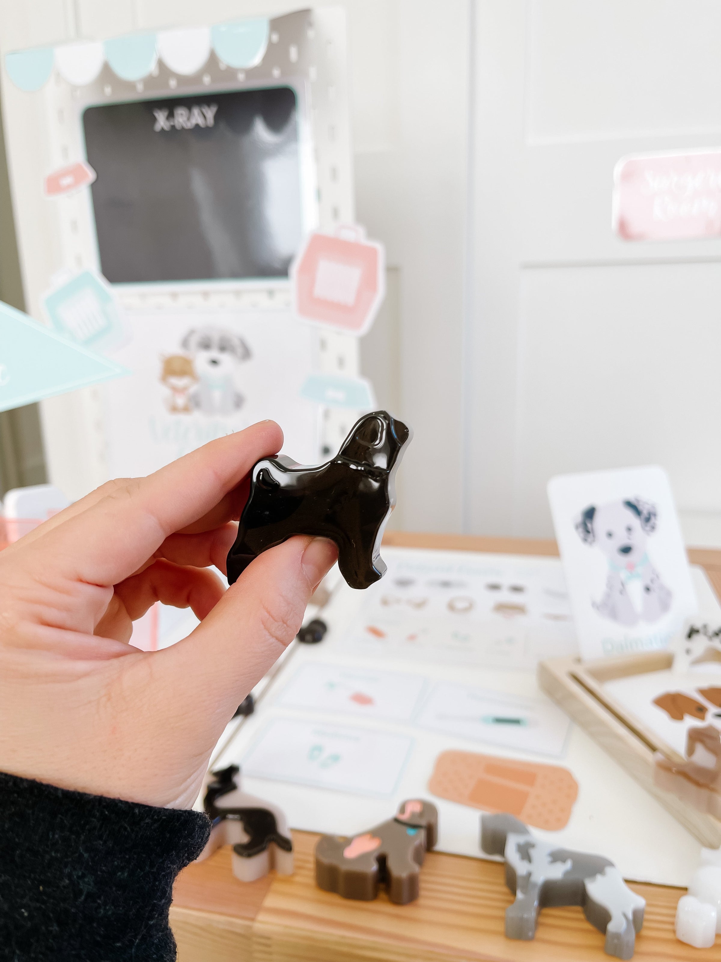 Vet Clinic Dramatic Play