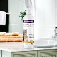 Piccardmeds4pets Piña Colada Aloe Oatmeal Pet Shampoo 16oz + Free Bandana!
