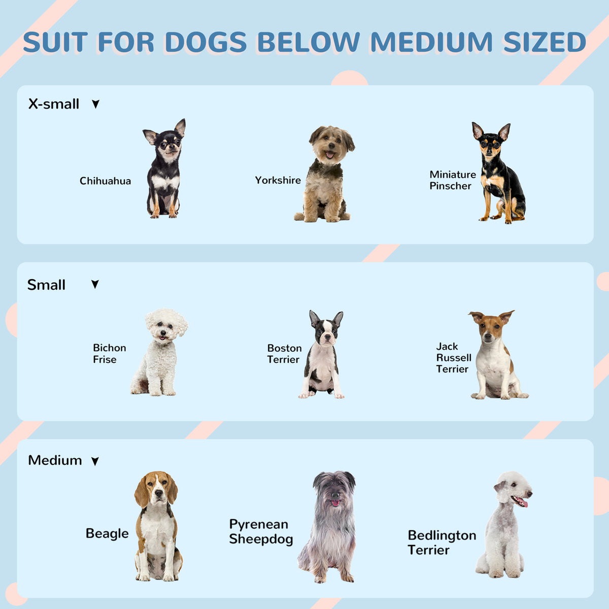Plastic Dog House for Medium and Small Dogs, Water Resistant Puppy Shelter Indoor Outdoor with Door, Easy to Assemble, B