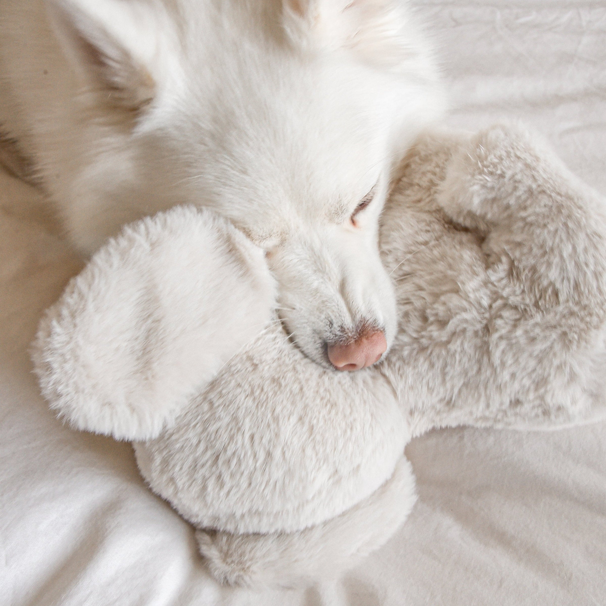Ella Plushie