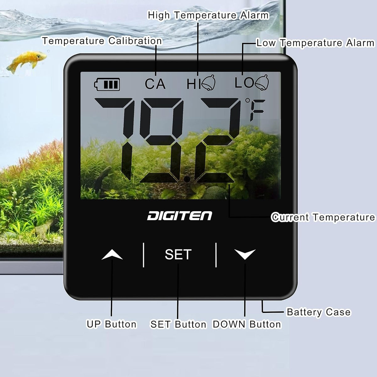Digital Aquarium Thermometer - BIG FRENCHIES