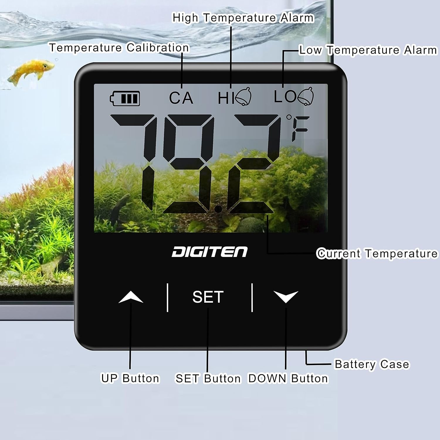 Digital Aquarium Thermometer - BIG FRENCHIES