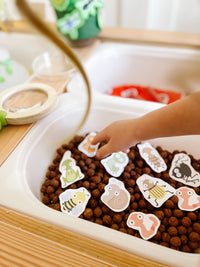 Bugs Printable Dramatic Play