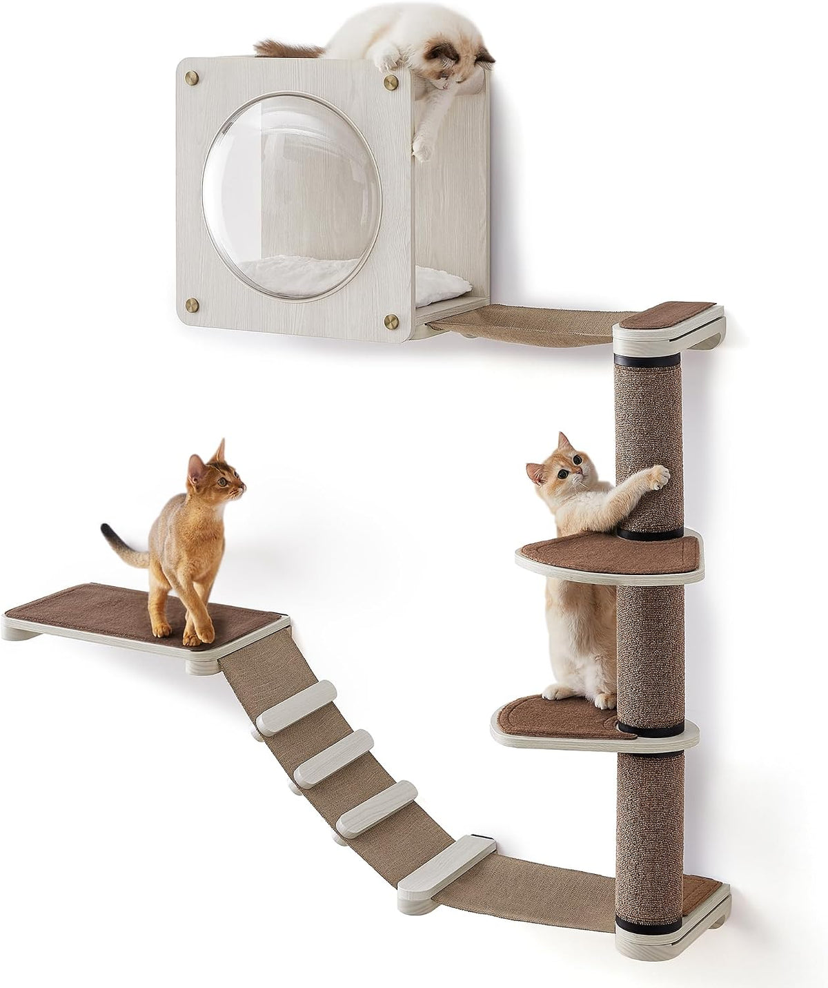 Set Of 5 Clickat Oasis Cat Climbing Wall, Cat Board, Hammock, Scratching Column, Interchangeable Washable Parts, Brown O