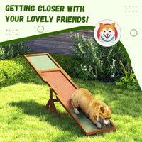 Wooden Dog Agility Seesaw For Training And Exercise, Weather Resistant, Orange