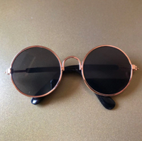 Pet Cat Glasses Cat Sunglasses