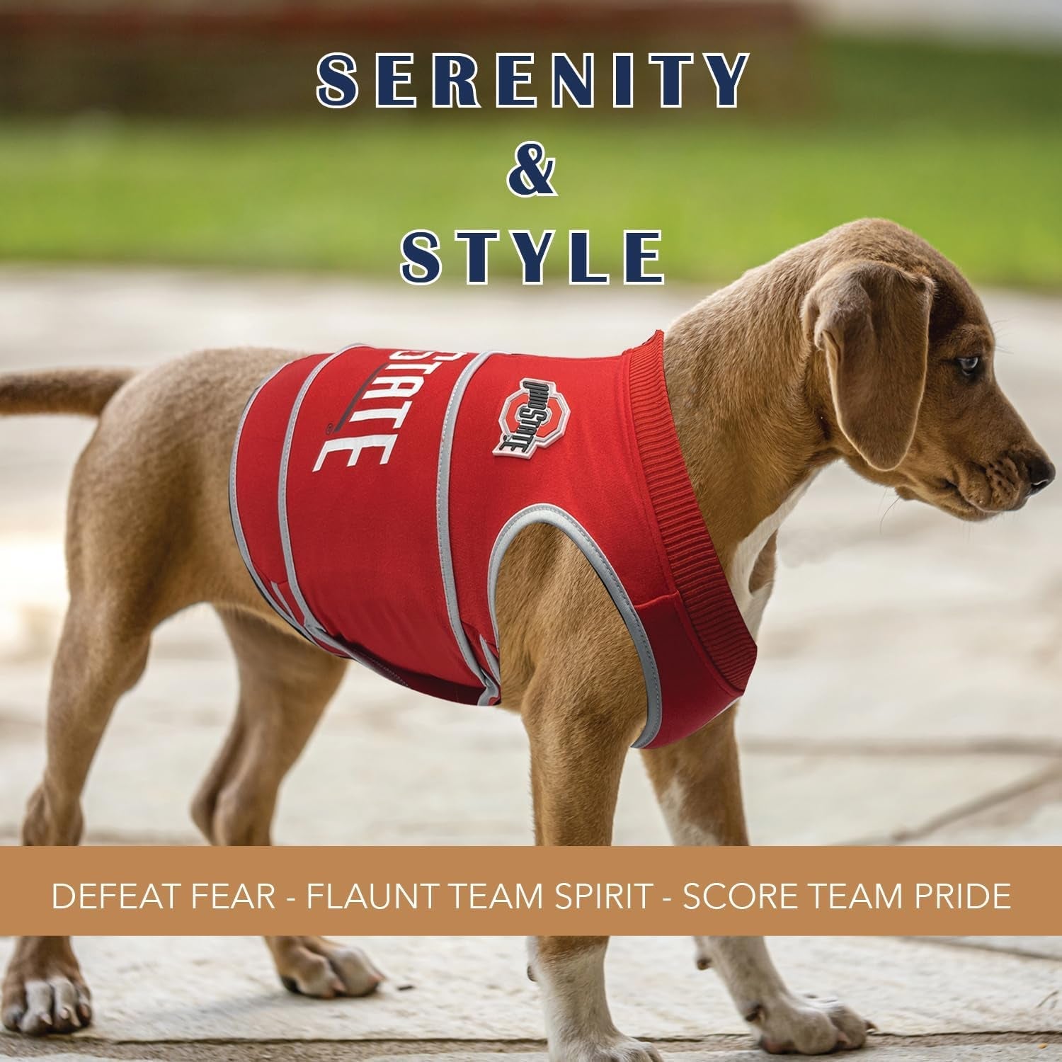 NCAA Calming Vest for Dogs & Cats – All Teams & Sizes