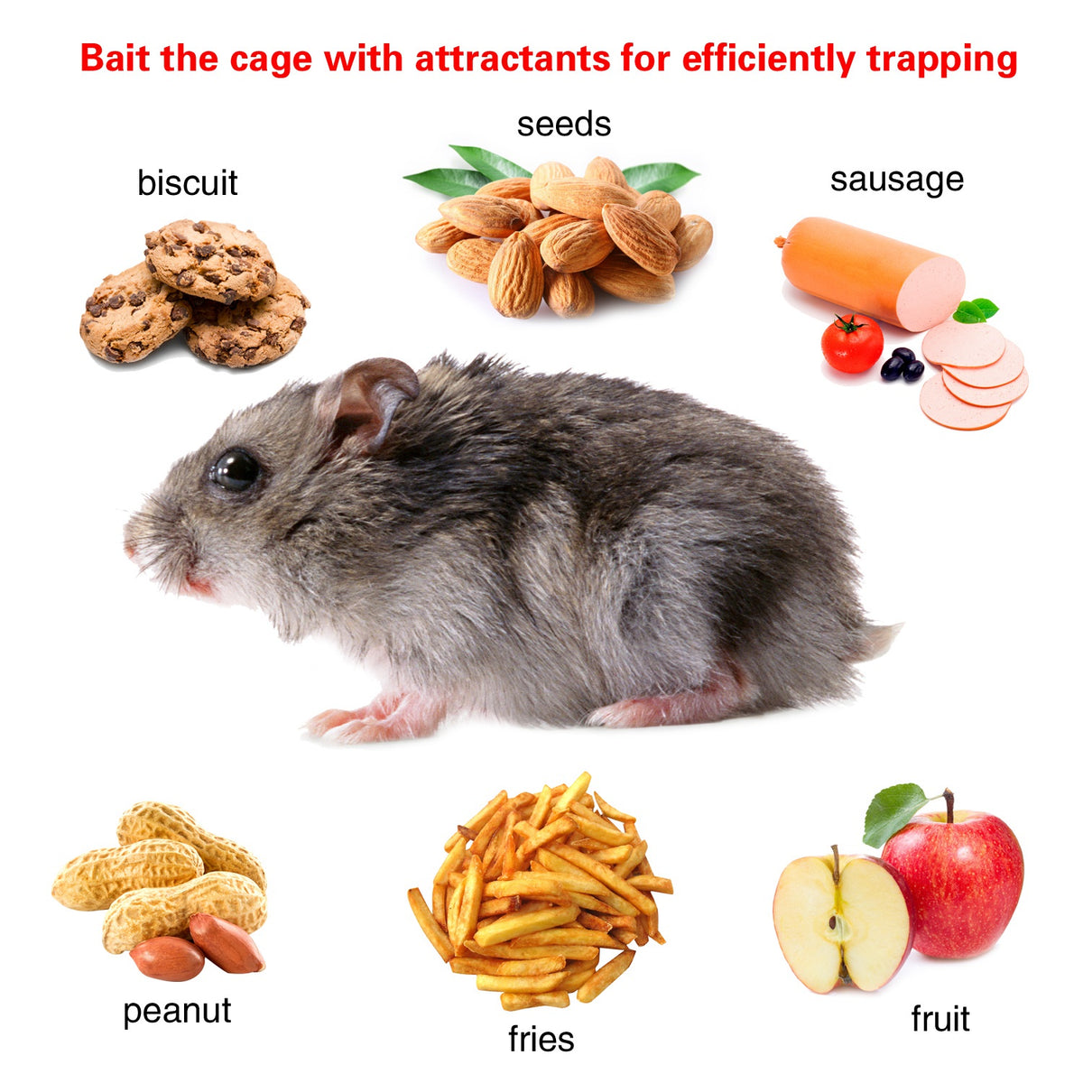 2 Pack Rat Trap Cage Humane Live Rodent Trap Cage Galvanized Iron Mice Mouse Control Bait Catch With Detachable U Shaped