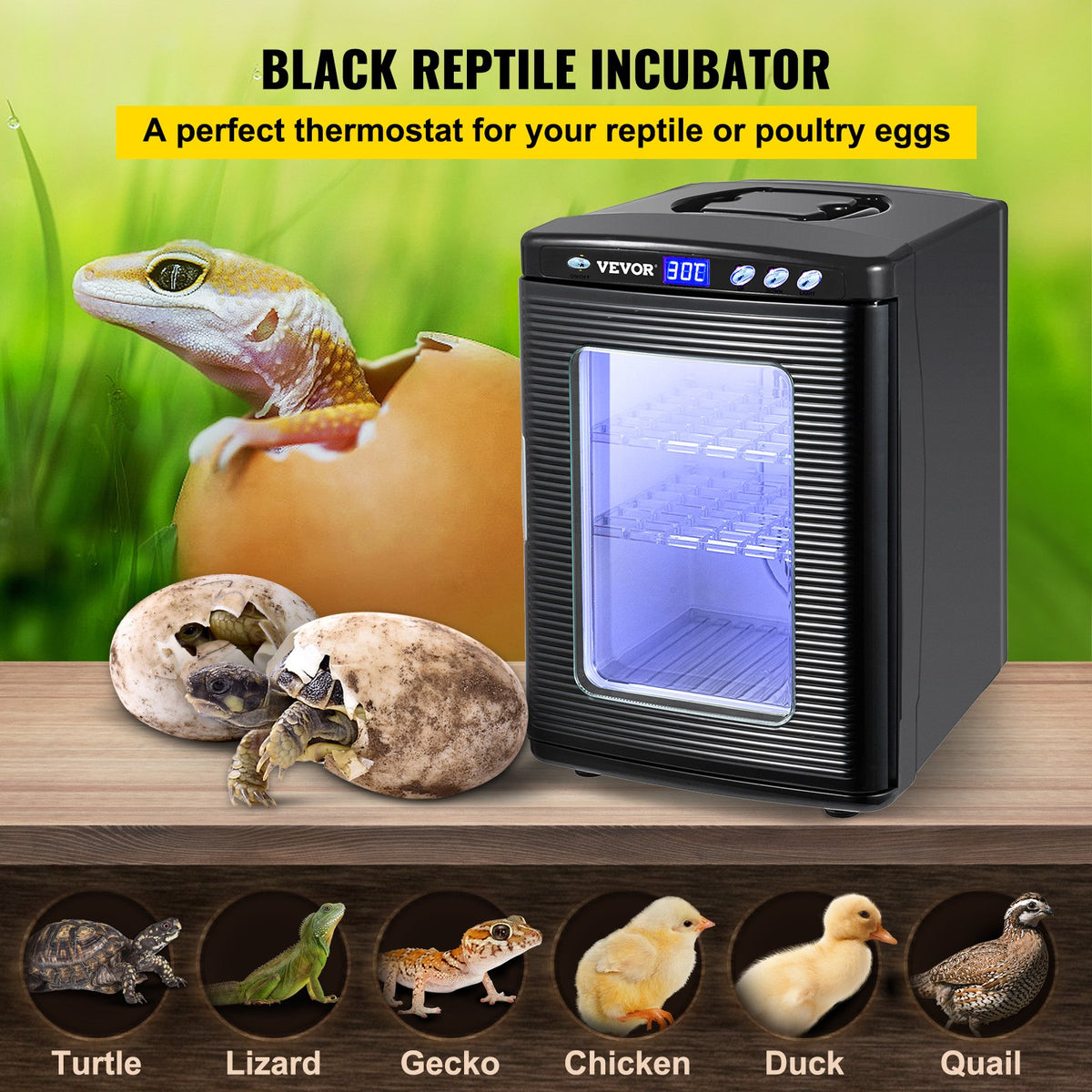 Black Reptile Incubator 25L Scientific Lab Incubator Digital Incubator Cooling And Heating 5-42°C Reptile Egg Incubator 