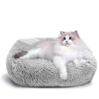 Cat Bed for Indoor Cats and small dogs - BIG FRENCHIES