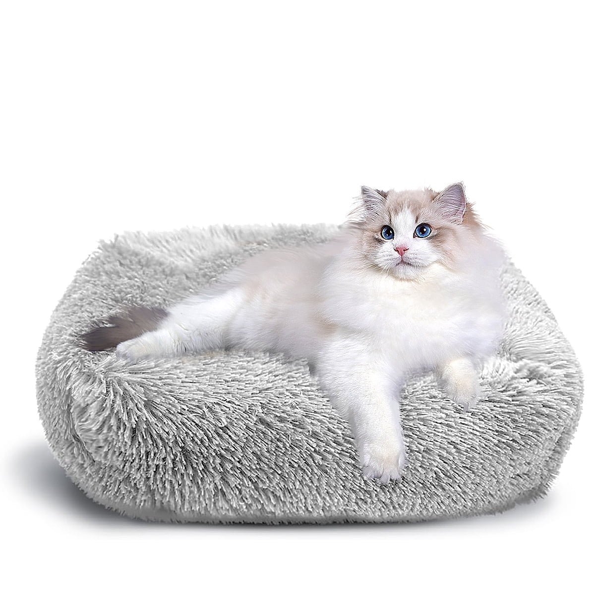 Cat Bed for Indoor Cats and small dogs - BIG FRENCHIES