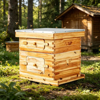 Bee Hive for Outdoor