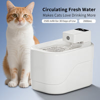 Only Self Pickup---Small Sugar Cube Water Dispenser