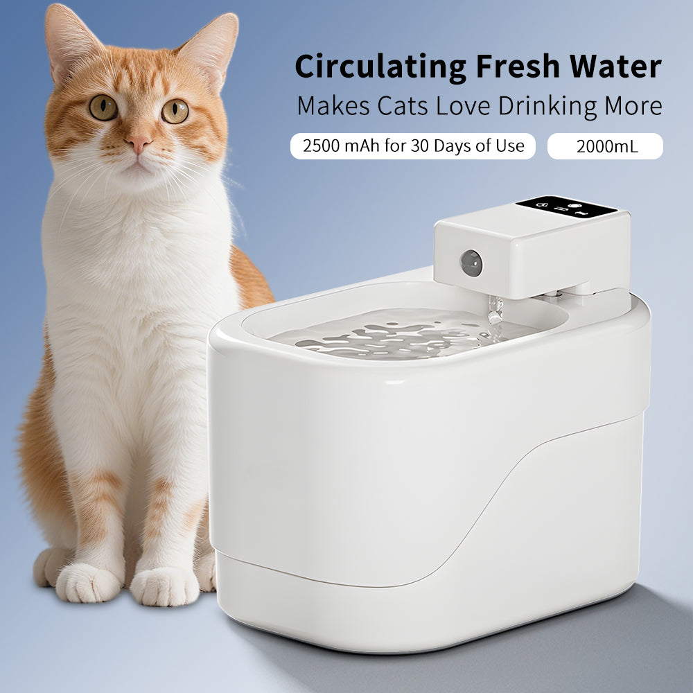 Only Self Pickup---Small Sugar Cube Water Dispenser