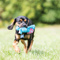 ® Cozie™ Marvin the Moose Dog Toy, Small