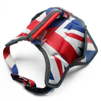 USA Patriotic Star Dog Harness+Leash Set
