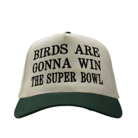Birds Are Gonna Win The Bowl Custom Embroidered Hat SnapBack