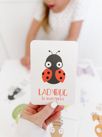 Bugs Flashcards