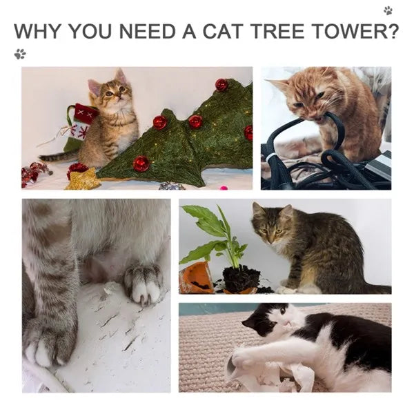 Cat Tree