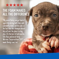 Keep Your Dog Happy and Flea-Free with ADAMS Plus Flea & Tick Foaming Shampoo & Wash - 2 Pack for Sensitive Skin! - BIG FRENCHIES