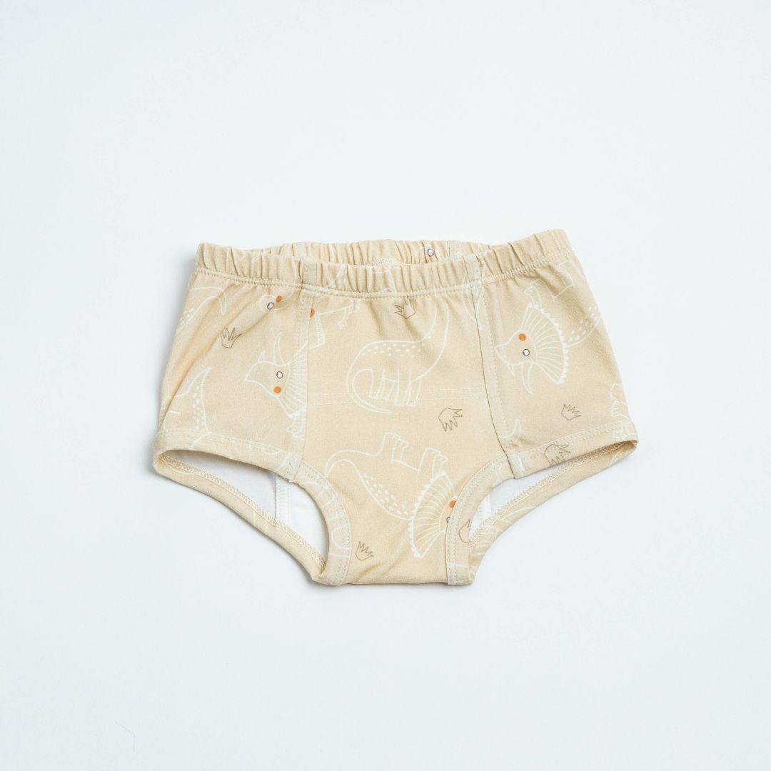 Adventure-Ready Organic Potty Training Underwear (4 Pack) - BIG FRENCHIES