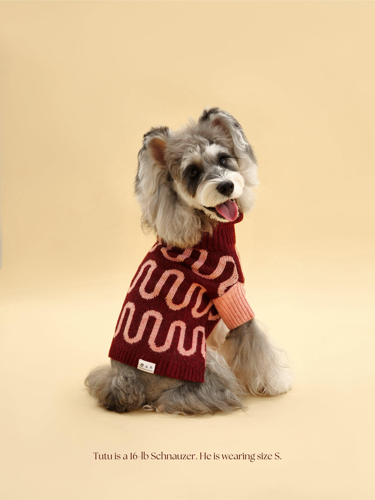 Rosé Bliss Sweater-Pet Apparel-BIG FRENCHIES-BarkBarkBaby
