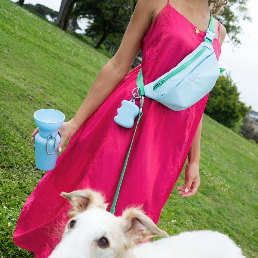 Hands-Free Dog Walking Bag with 4ft Leash - BIG FRENCHIES