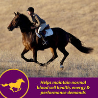 Horse Health Red Cell Vitamin-Iron-Mineral Supplement for Horses Gallon