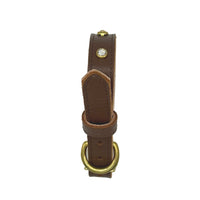 Plain Leather Dog Collar - BIG FRENCHIES