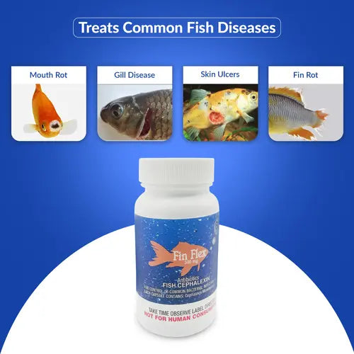 Fish Ceph 500mg Capsules for Aquarium Fish – 60 Count – Water Care Support