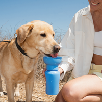 20oz Flip Dog Travel Water Bottle - BIG FRENCHIES