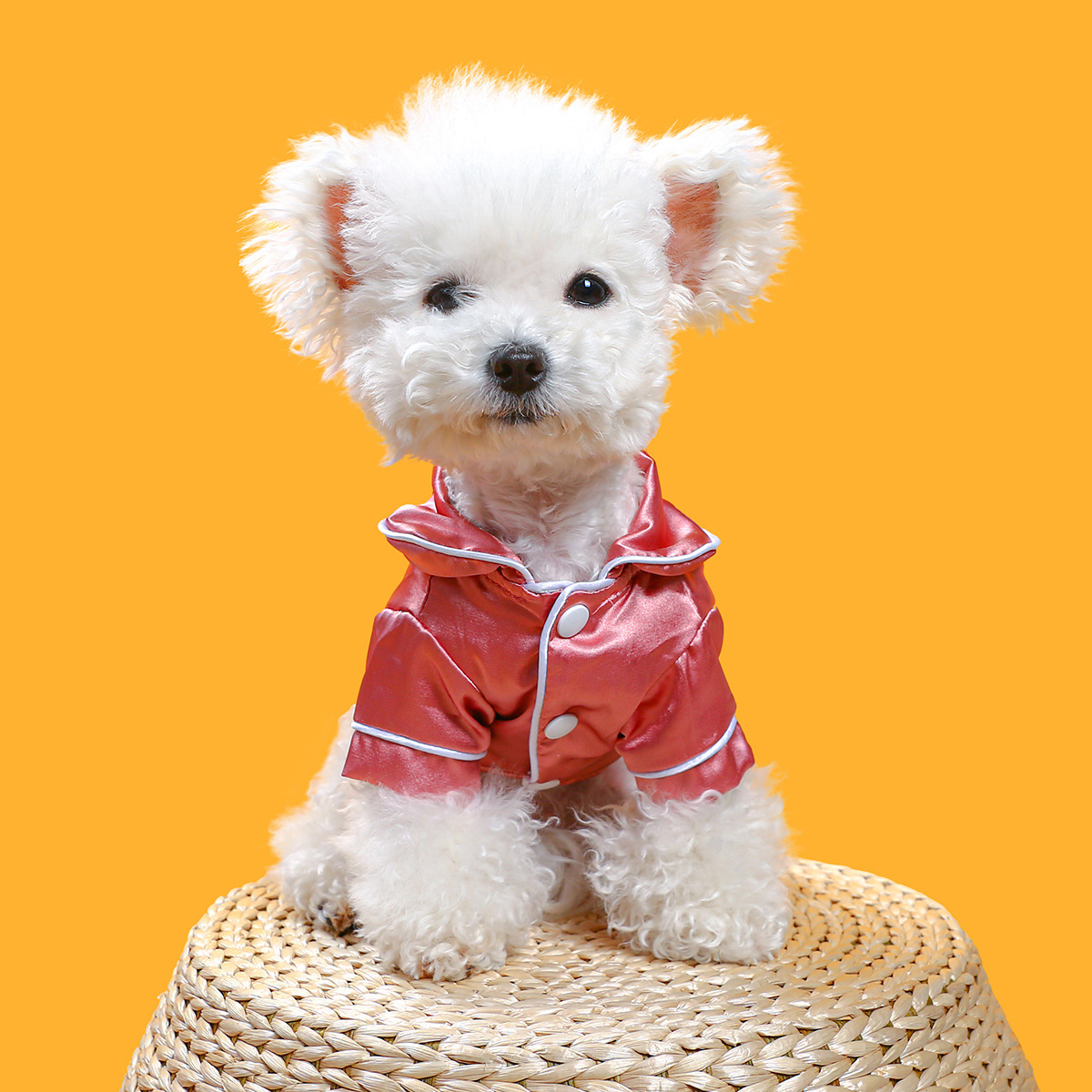 Luxury Soft Silk Pajamas - BIG FRENCHIES